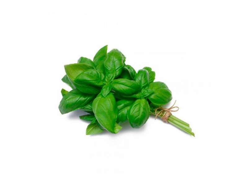 ATADO DE ALBAHACA