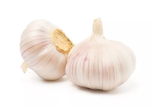 Ajo