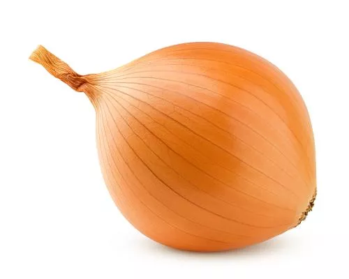CEBOLLA