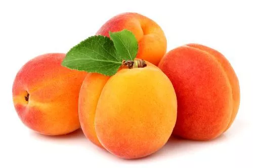 DAMASCO