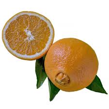 NARANJA OMBLIGO 1ERA