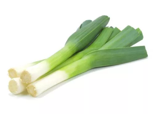 PUERRO