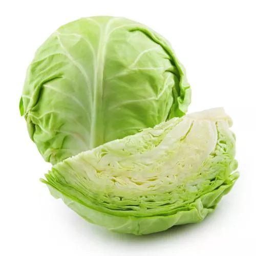 REPOLLO COMÚN