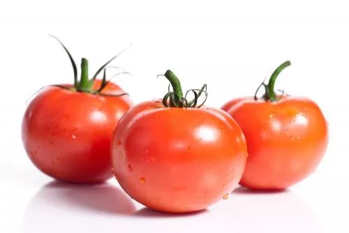 TOMATE REDONDO