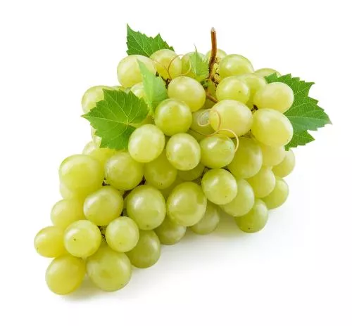 UVA BLANCA