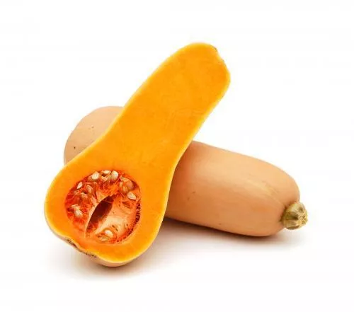ZAPALLO COREANO