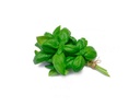 ATADO DE ALBAHACA