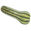 CALABAZA