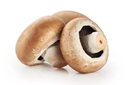 HONGO PORTOBELLO